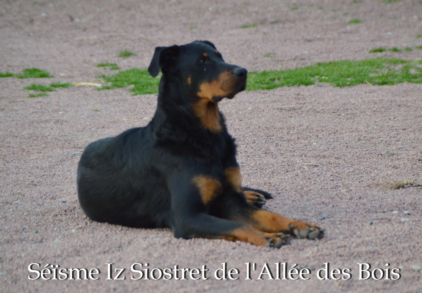 Mariage janvier 2026