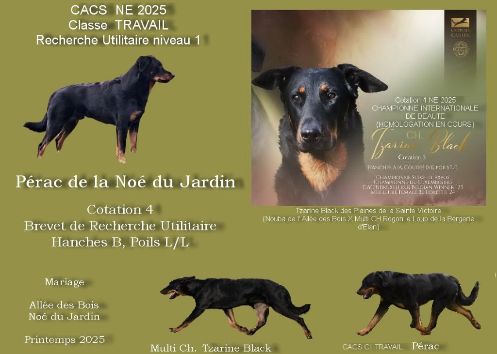 MAGNIFIQUE PORTEE à NAITRE en JUIN